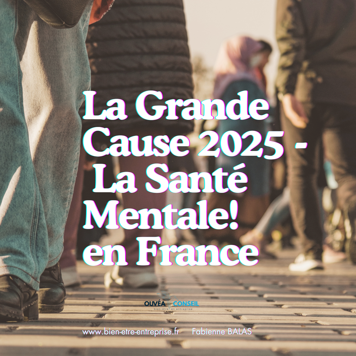 La santé mentale, grande cause nationale en 2025 !, par Fabienne Balas, Ouvéa Conseil